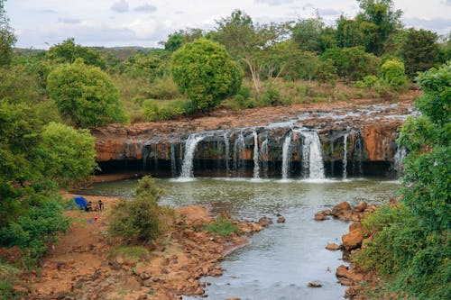 Fotos de stock gratuitas de agua que fluye, arboles, cascada