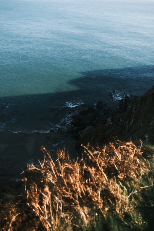 Darmowe zdjęcie z galerii z morze, natura, pionowy strzał