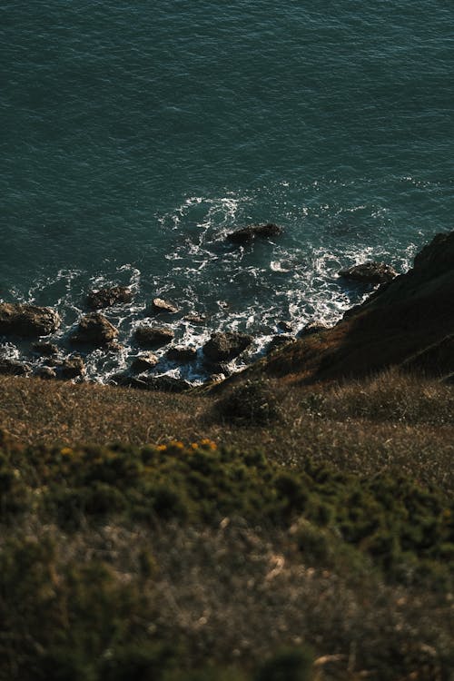 Foto profissional grátis de colina, costa, grama