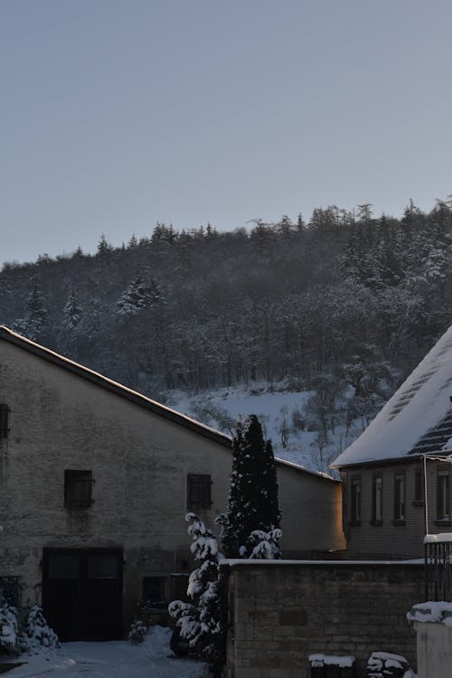 Ingyenes stockfotó épületek, erdő, fák témában