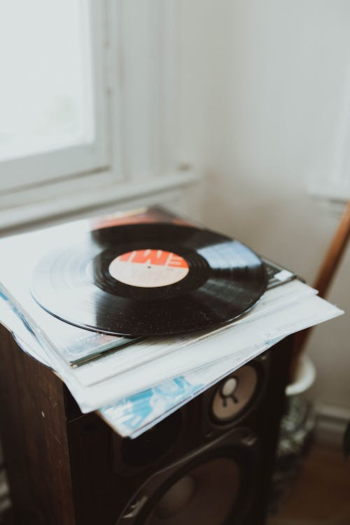 Vinyl Disk on Loudspeaker