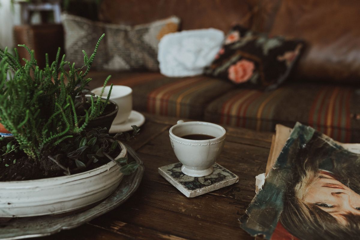 Eco Friendly Colour Palettes That Feel Alive