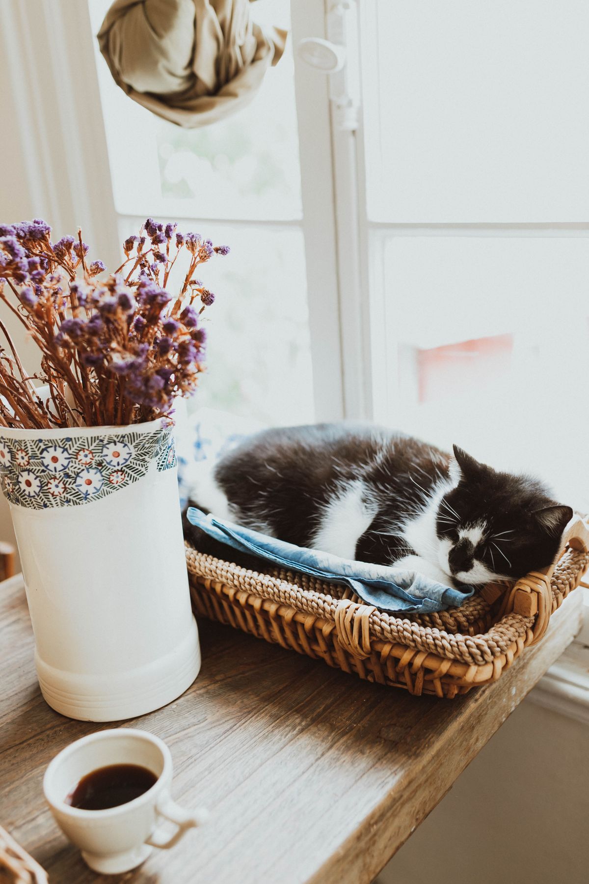 Cat asleep in a basket on a small table in a compact home