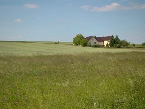 Tranquil rural landscape with farmhouse surrounded by lush fields under a clear blue sky.