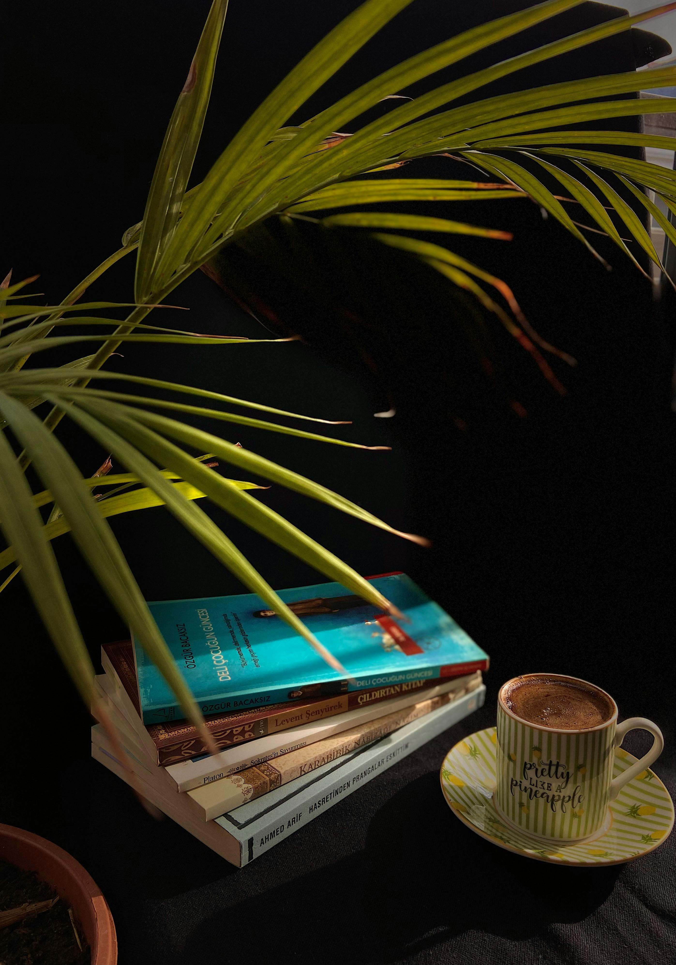 Free A cup of coffee with a tropical plant and books against a black background, perfect for relaxation. Stock Photo