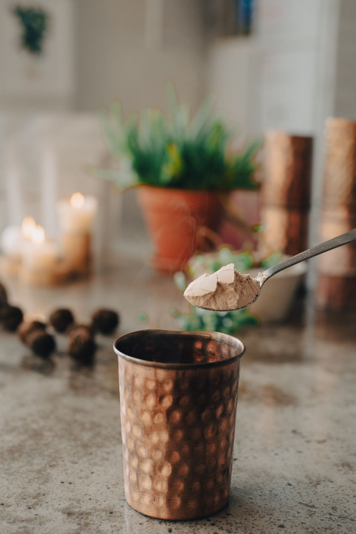 Organic Ashwagandha — Karmaa Overseas exporter India