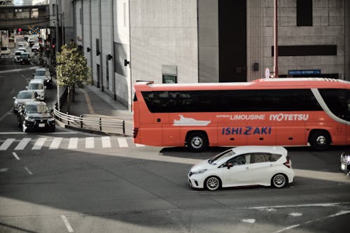 Foto d'estoc gratuïta de autobús, automòbils, carrer