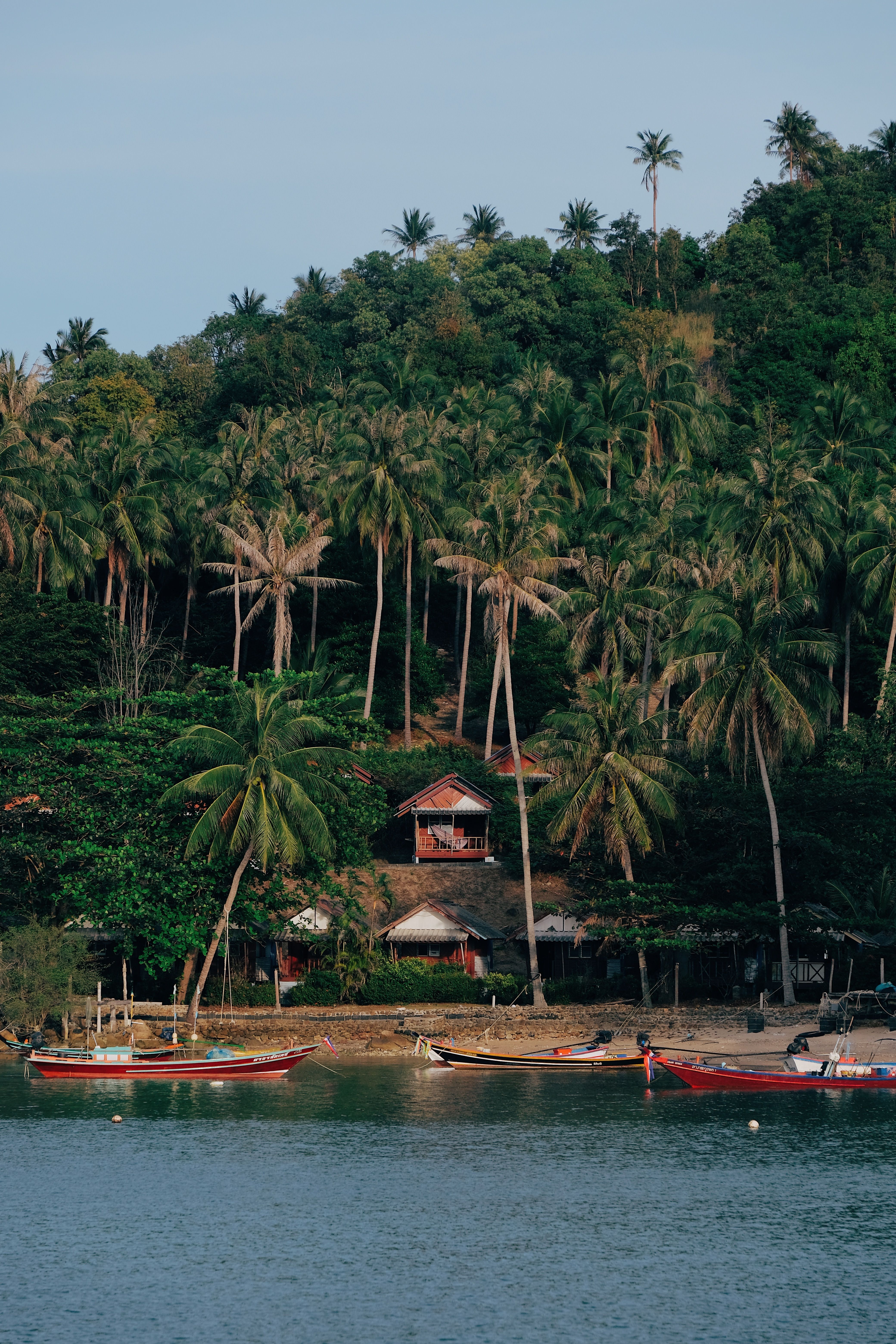 Scenic tropical beachfront with lush palm trees and traditional boats, perfect for travel inspiration.