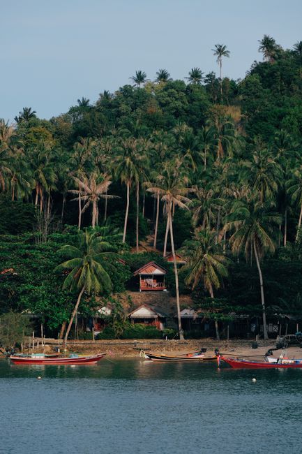 Scenic tropical beachfront with lush palm trees and traditional boats, perfect for travel inspiration.