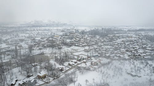 Kostenloses Stock Foto zu bäume, drohne erschossen, flachland