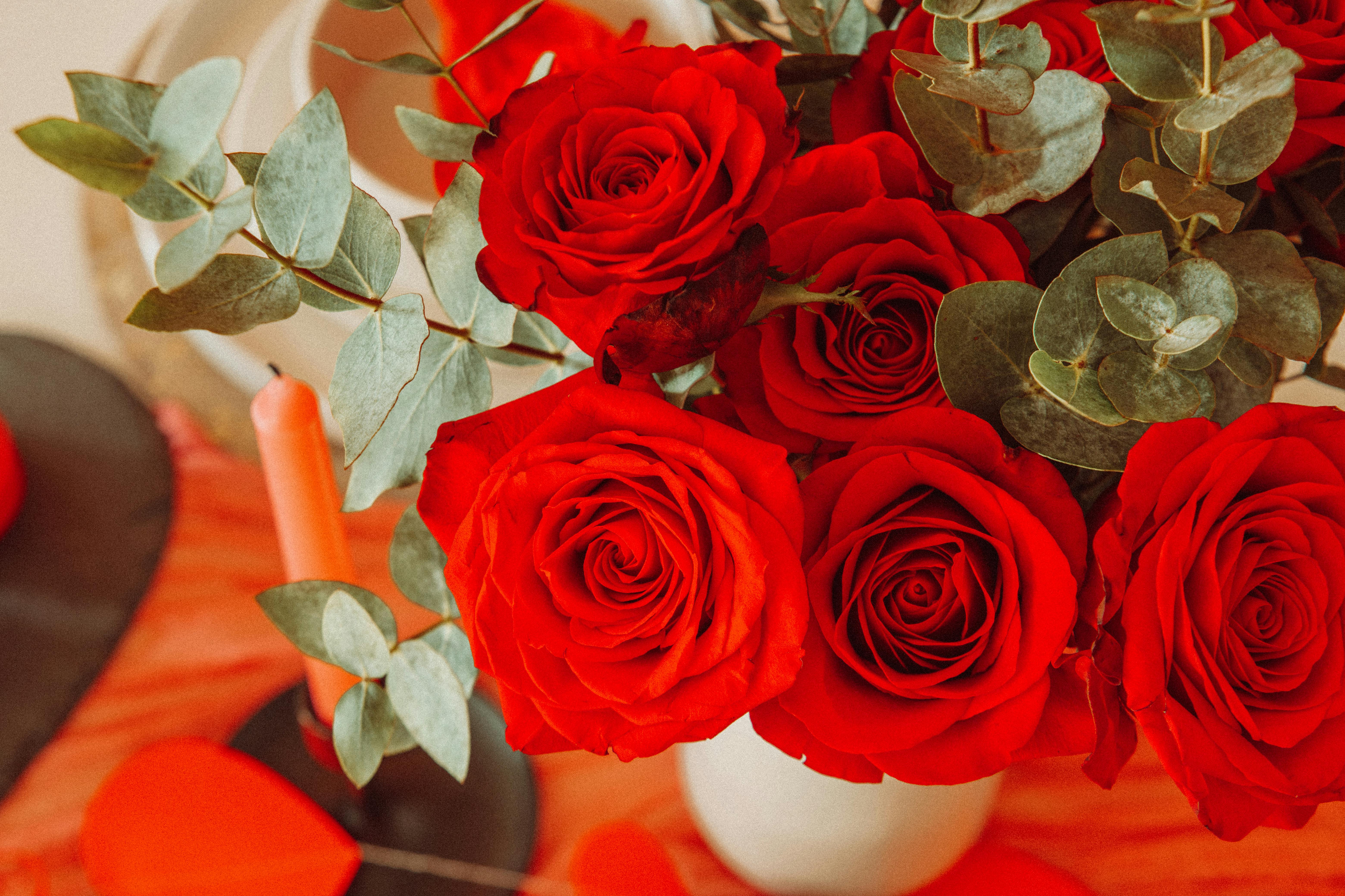 Lush bouquet of vibrant red roses with eucalyptus greenery