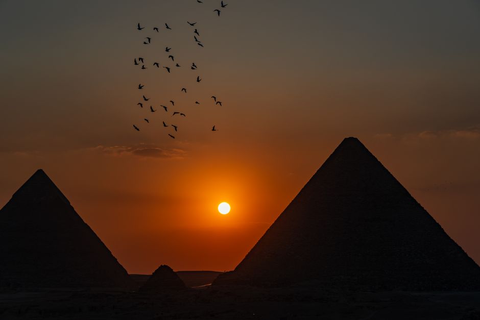 Iconic Birds: Flightless Wonders and Melodious Masters Iconic Birds: Flightless Wonders and Melodious Masters