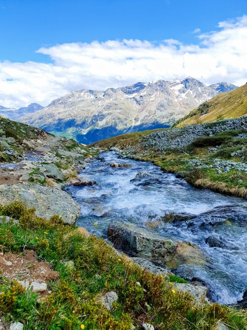 Free Beautiful mountain stream flowing through a lush alpine landscape with majestic peaks. Stock Photo