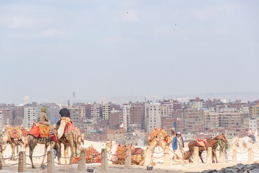Camel riders with a bustling city backdrop, highlighting urban and desert contrasts.