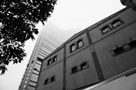 Grayscale Photo of a Building with Windows