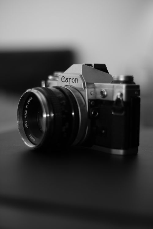 Free Classic Canon camera with retro design, captured in monochrome for vintage appeal. Stock Photo