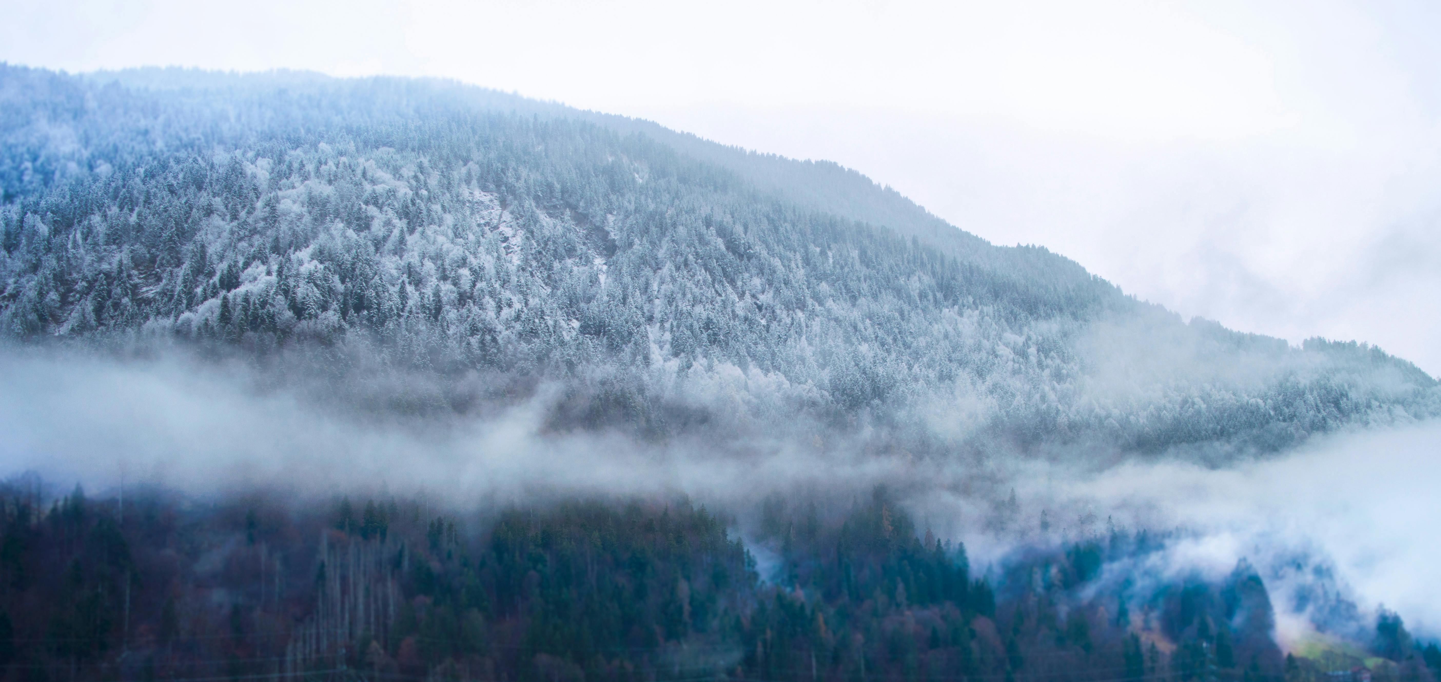 Forest on Hill in Winter under Clouds · Free Stock Photo