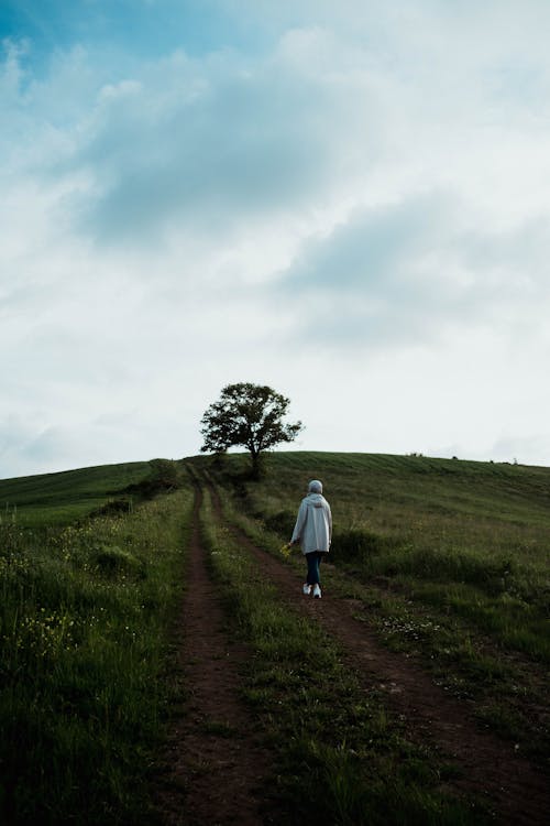 Gratis arkivbilde med åker, ås, dramatisk himmel