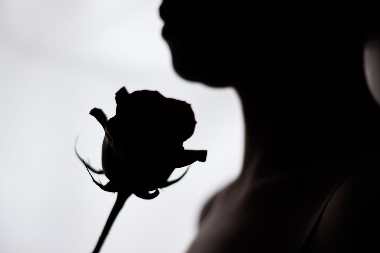 artistic silhouette photograph of a person holding a rose emphasizing