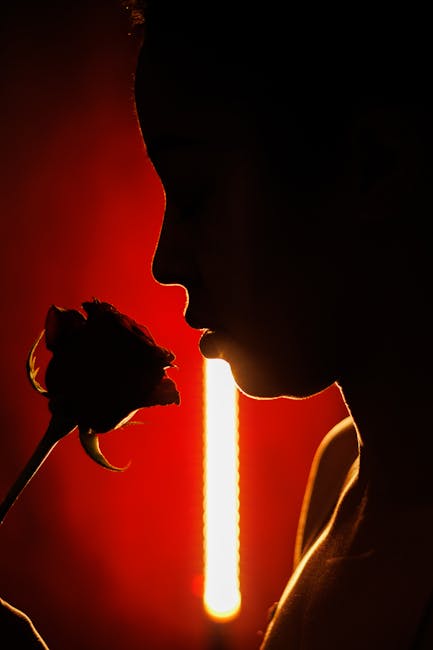 Silhouette of a woman holding a rose against a striking red background, capturing a moment of elegance.