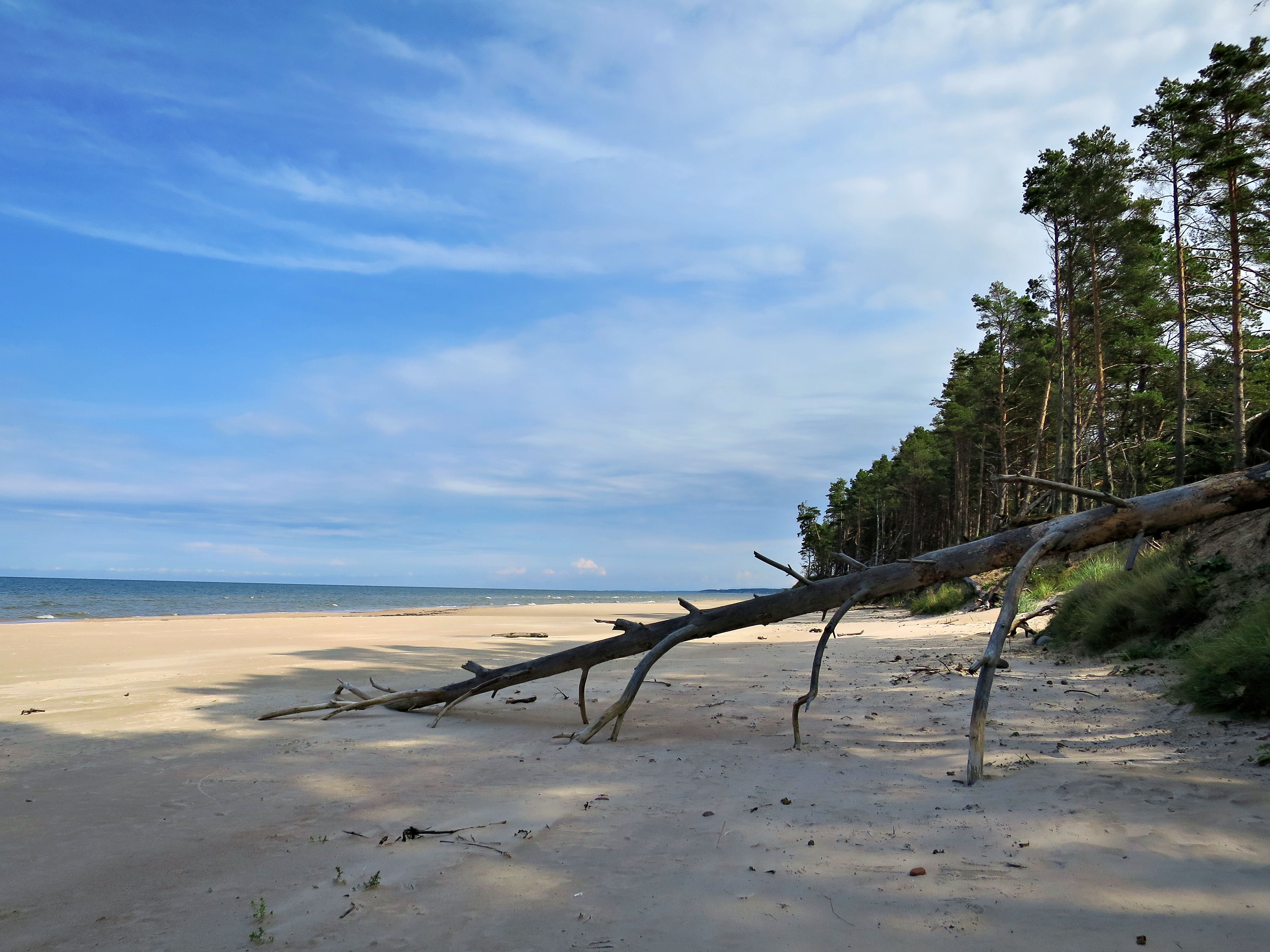 Wide sandy beach and pine-backed promenade at Pärnu on the Estonian coast