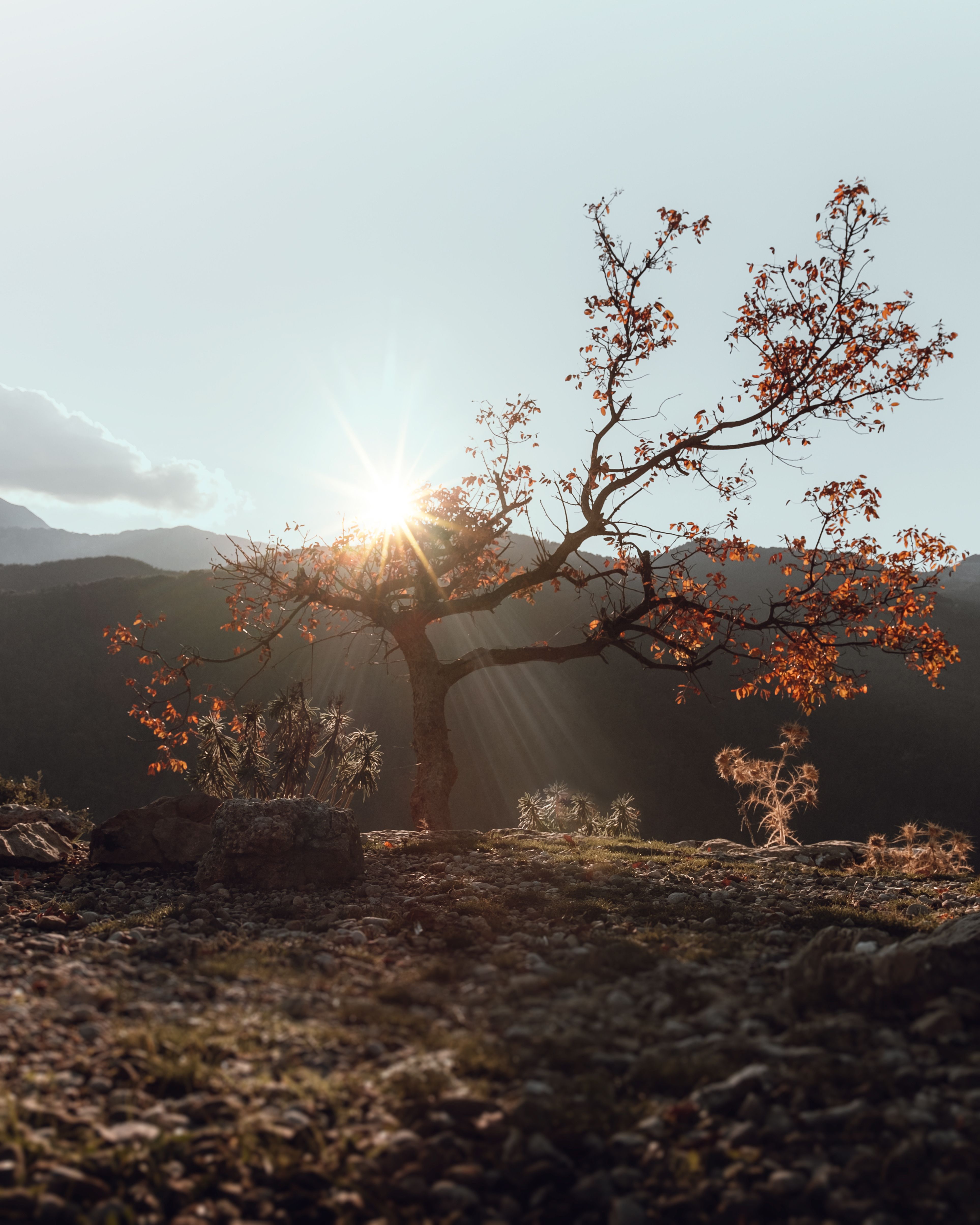 The Sun Rising Behind the Mountain · Free Stock Photo