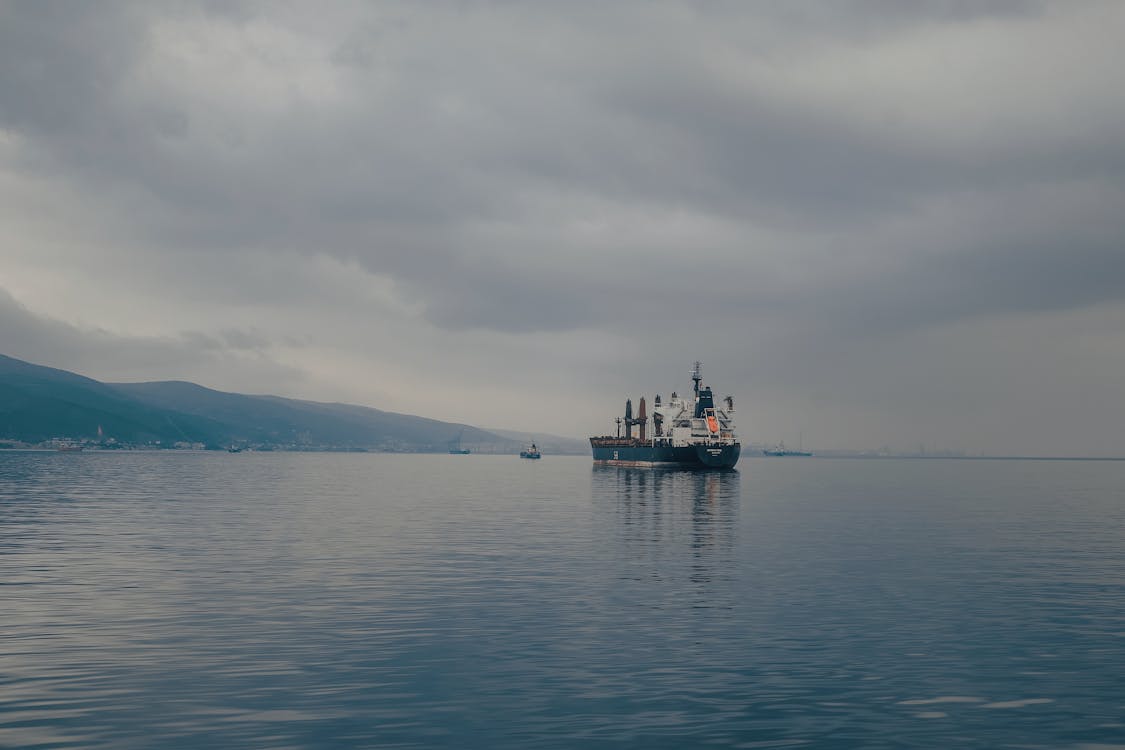 Cargo Ship on the bay harbor