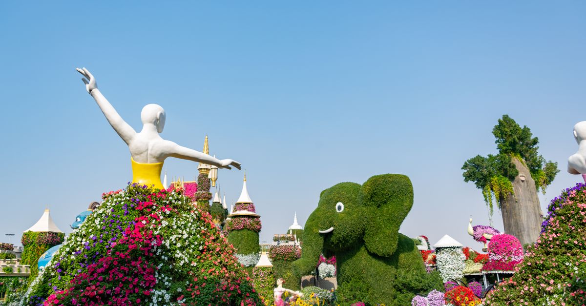 Miracle Garden Giriş Bileti