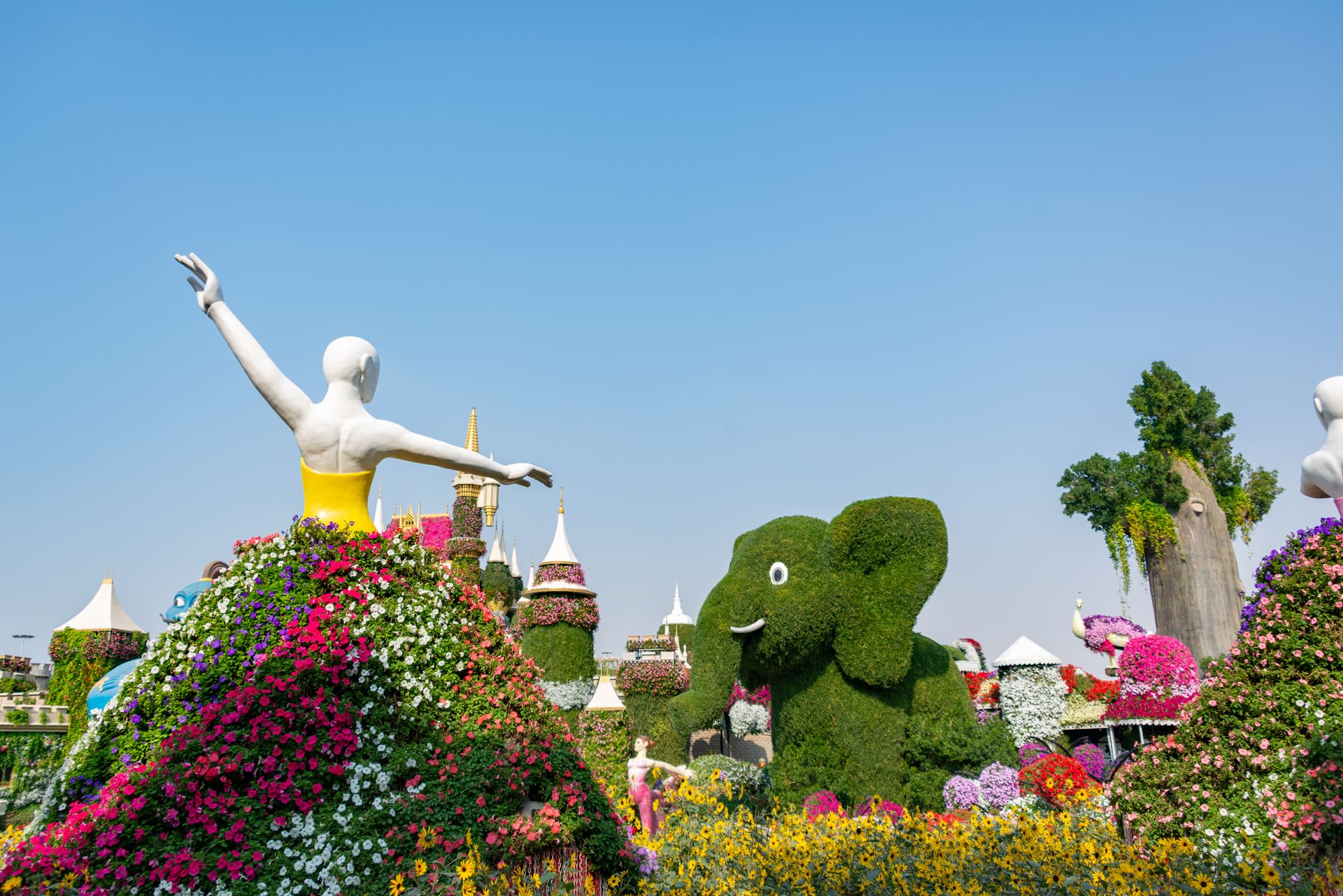 Miracle Garden — входной билет