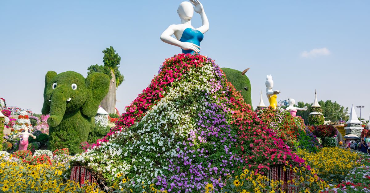 Colorful flower sculptures at the famous Miracle Garden in Dubai. A stunning visual spectacle for to