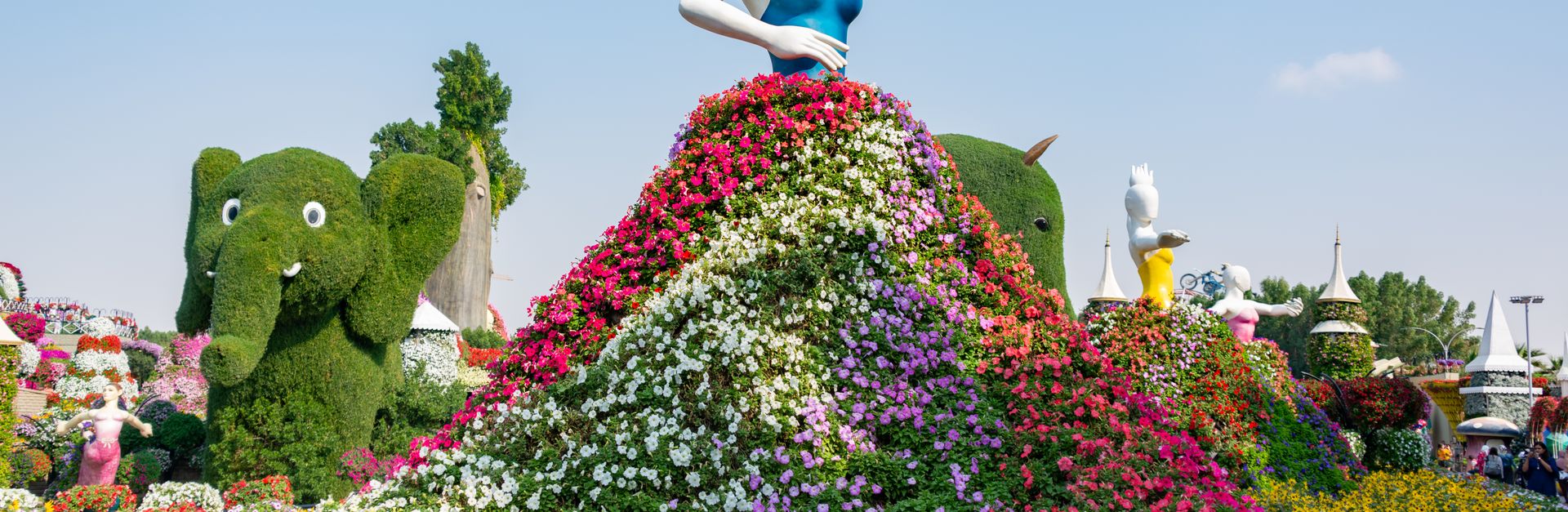 Colorful flower sculptures at the famous Miracle Garden in Dubai. A stunning visual spectacle for to