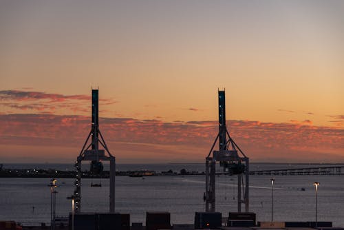 Cranes in Harbor at Sunset