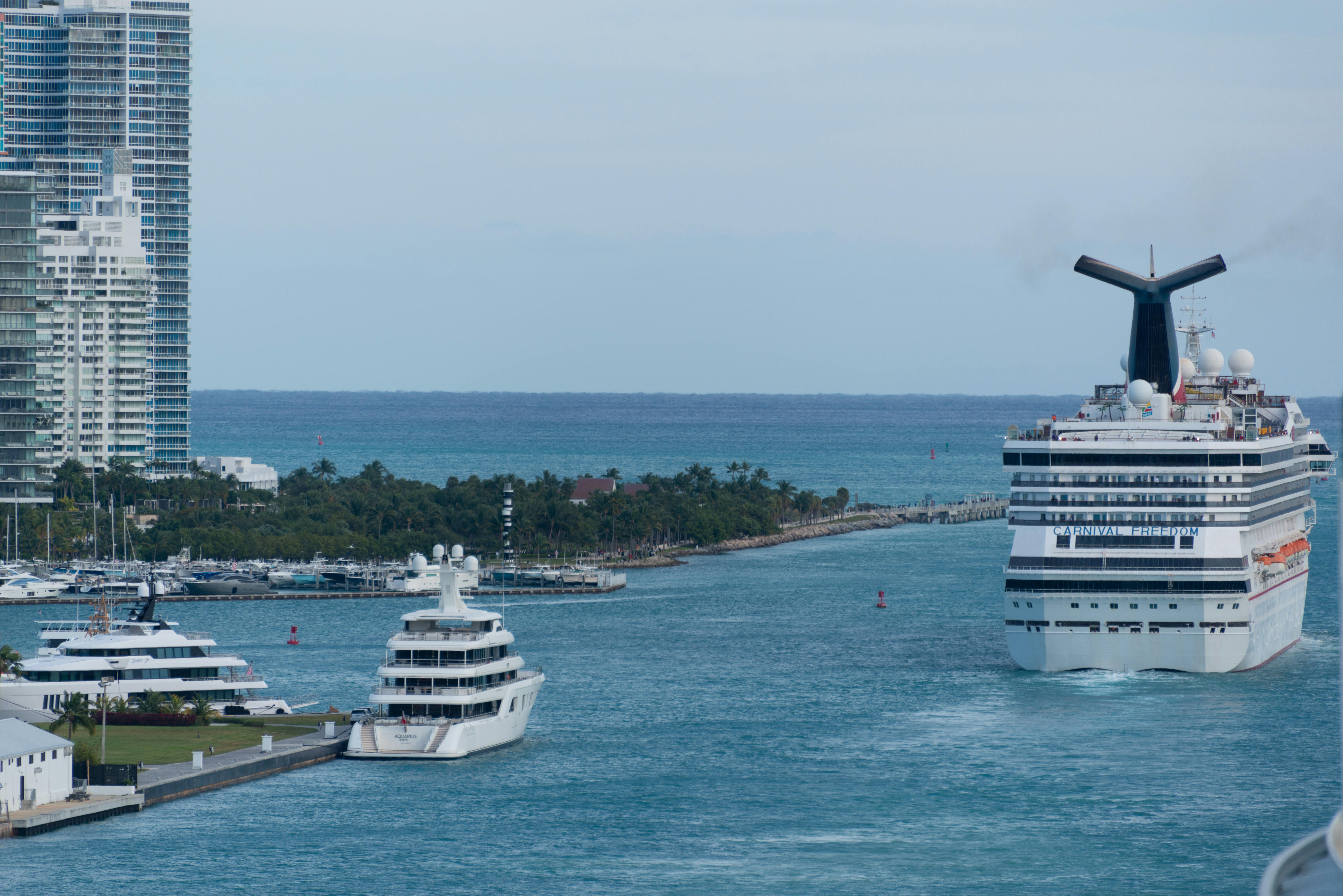 Cruise ship sailing through an urban harbor with city skyline and yachts visible.