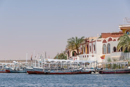 Foto profissional grátis de baía, barcos de passeio, cidade