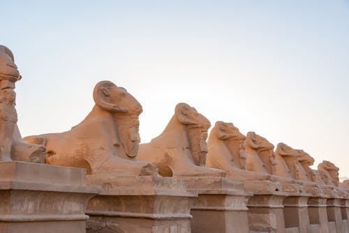 Free Ram Headed Sphinxes Outside a Temple in Karnak, Egypt Stock Photo