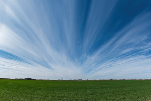 Grass Field Under Blue Sky