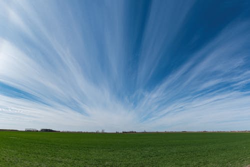 Gratis arkivbilde med åker, blå himmel, dyrket jord