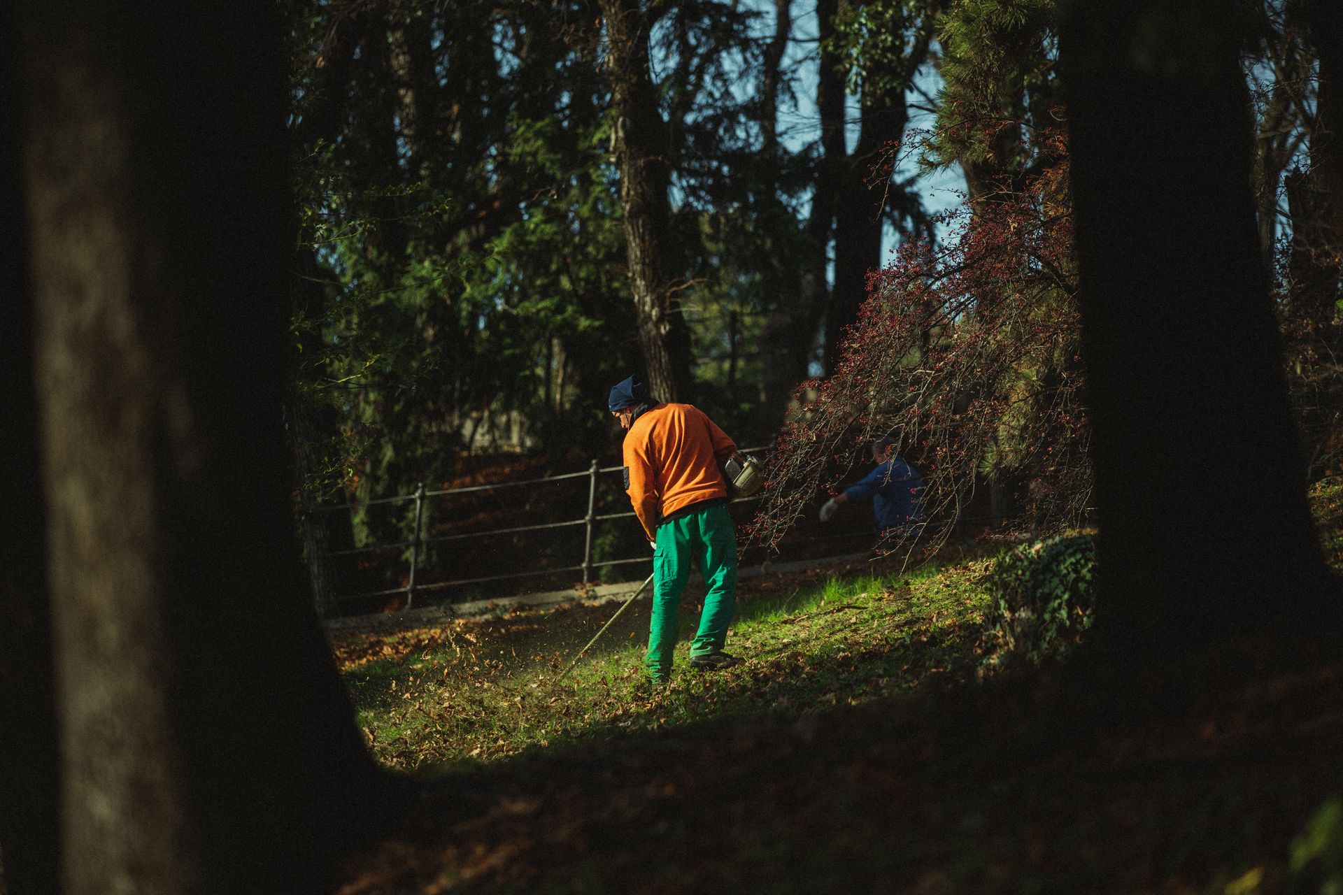 Man Mowing Grass with Hand Mower