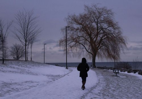 Free A person walks alone in a snowy park by the lake during winter. Stock Photo