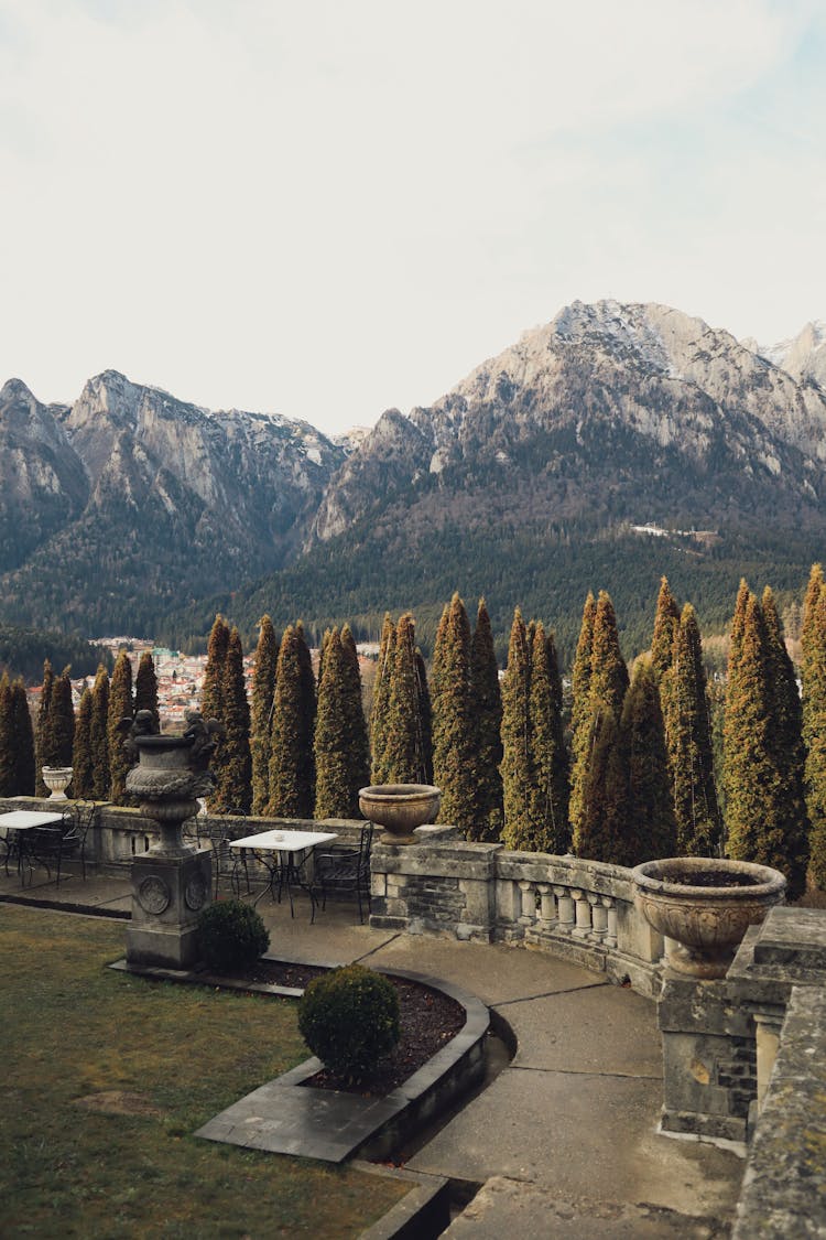 Garden With Mountains Behind