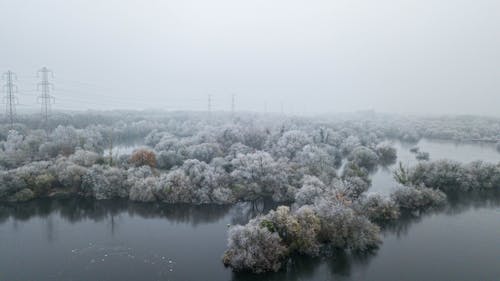 Drone Photography of Snow Covered Trees on a Lake 