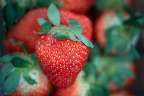 Fresh Strawberry in Close-up View