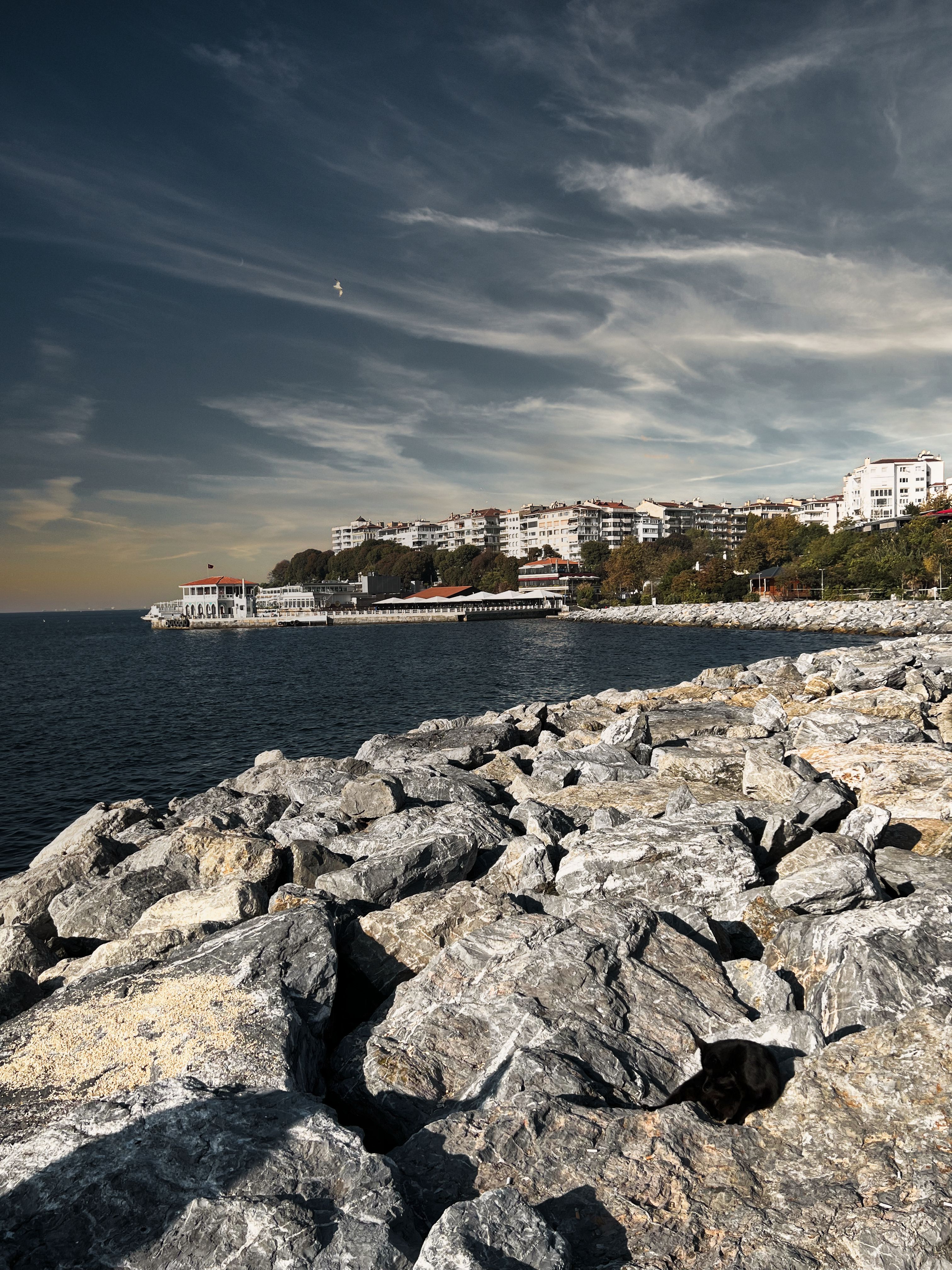 Rocky Seashore in Istanbul, Turkey · Free Stock Photo