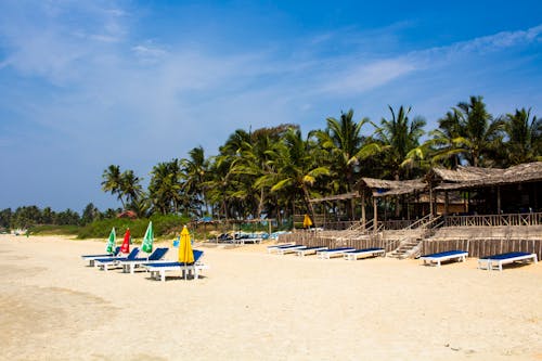 Sun Loungers in Front of a Restaurant on a Tropical Beach