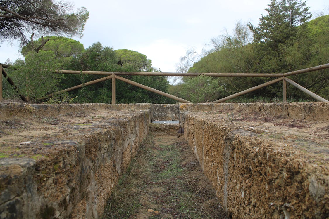 dehesa del litoral de la Algaida