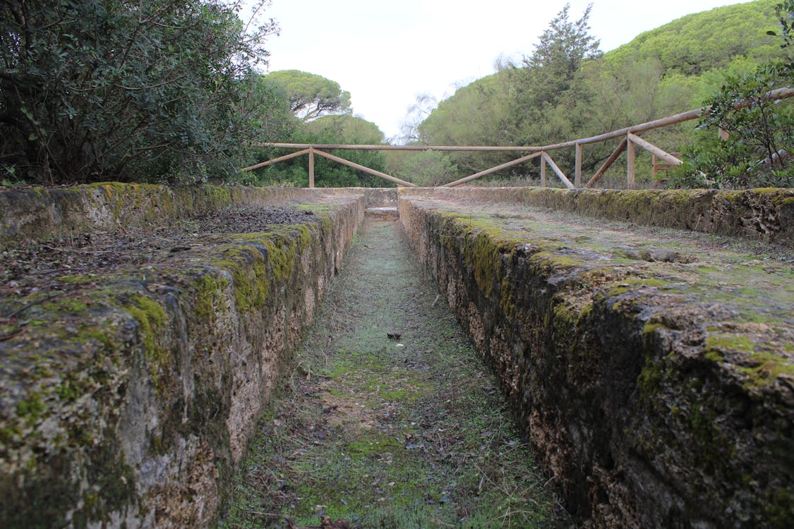 dehesa del litoral de la Algaida