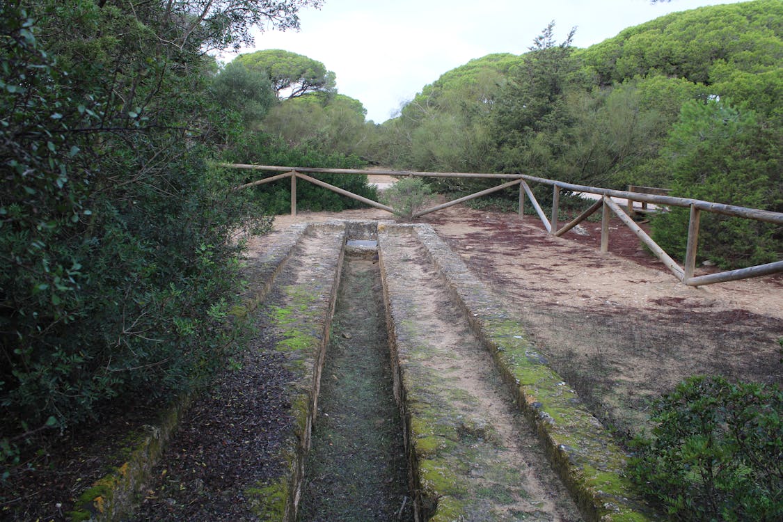 dehesa del litoral de la Algaida