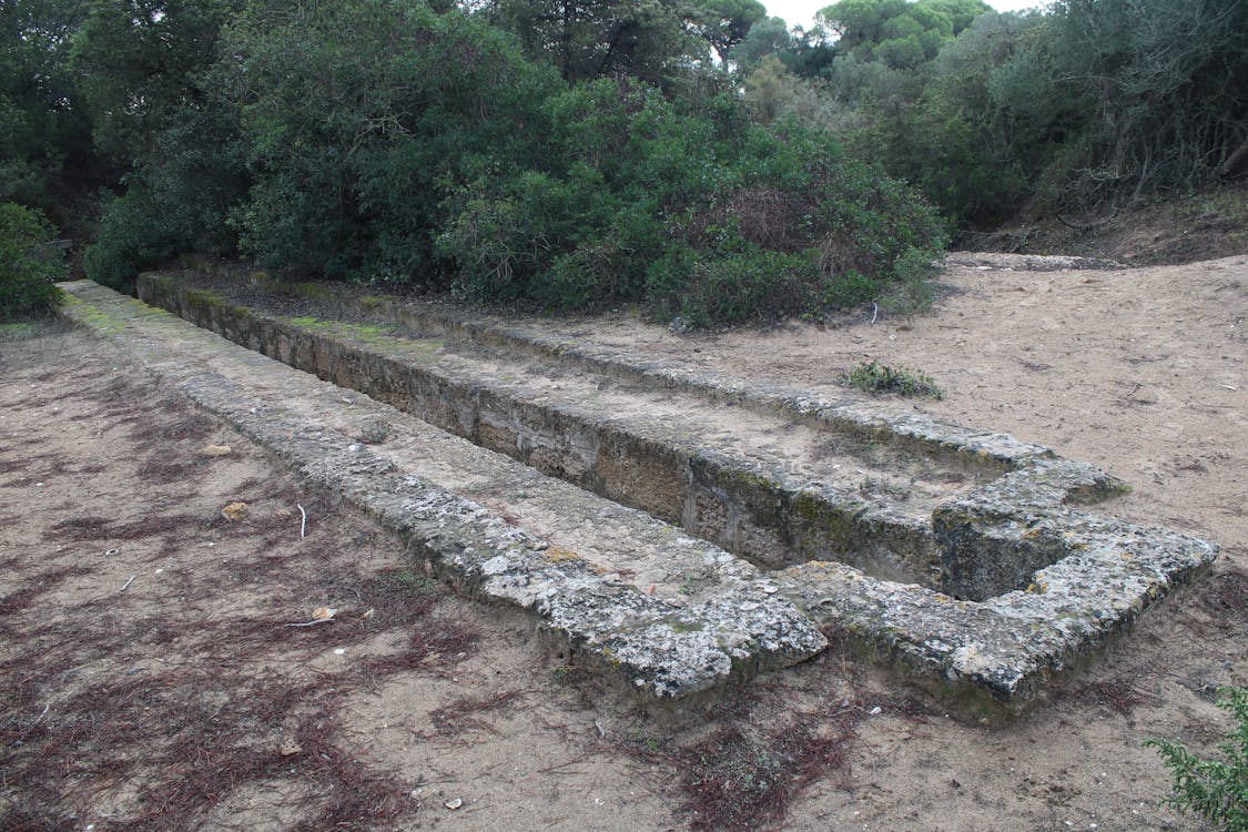 dehesa del litoral de la Algaida