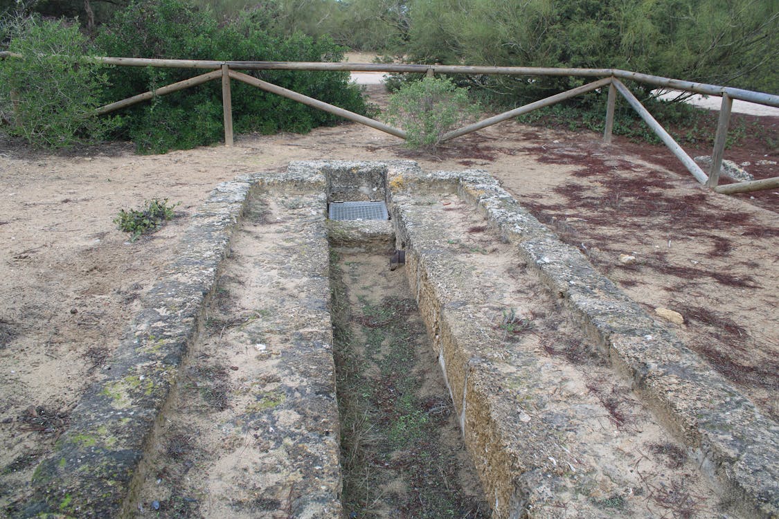 dehesa del litoral de la Algaida