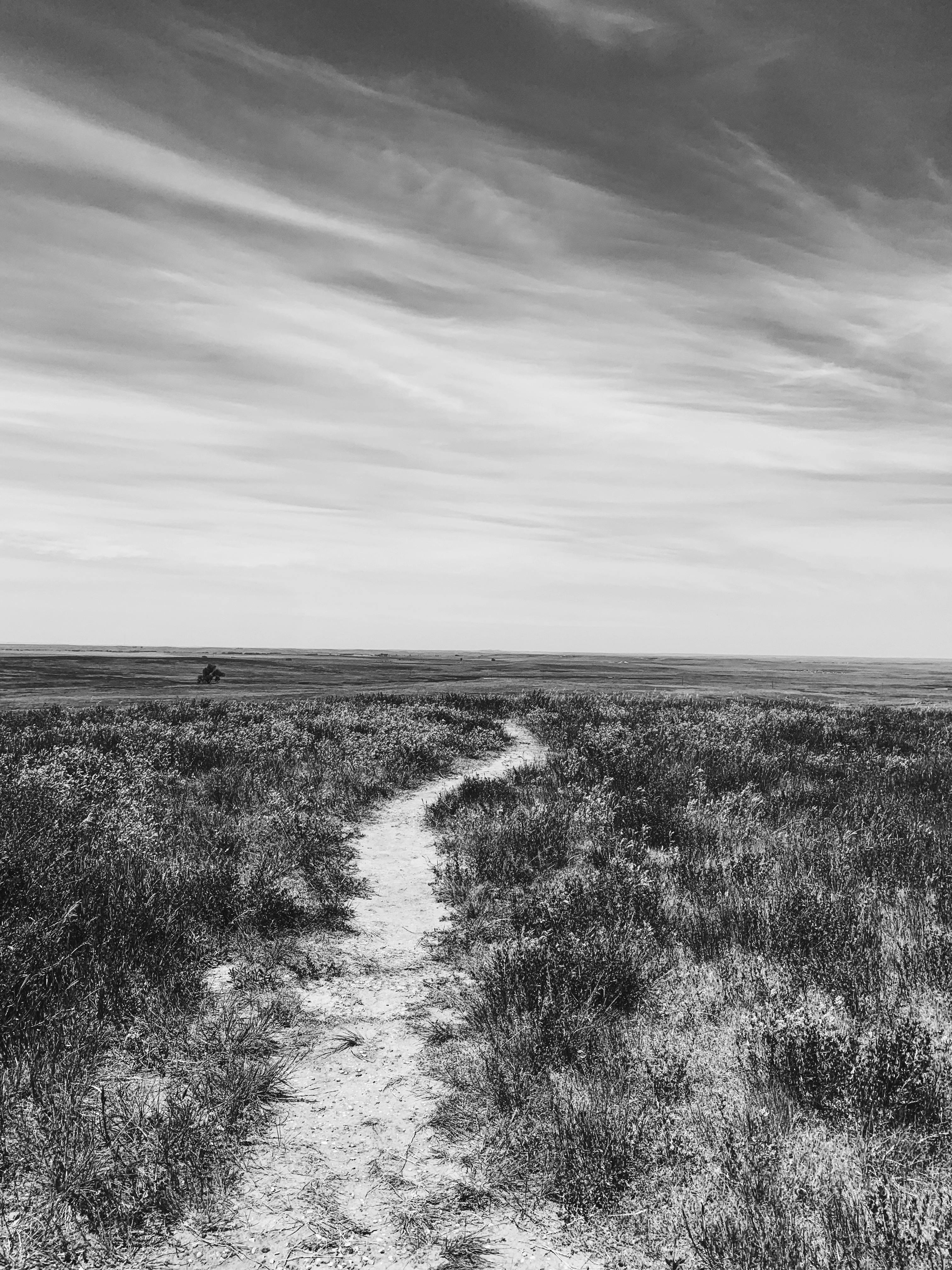 A serene black and white landscape of a winding path through a vast grassland under a cloudy sky.